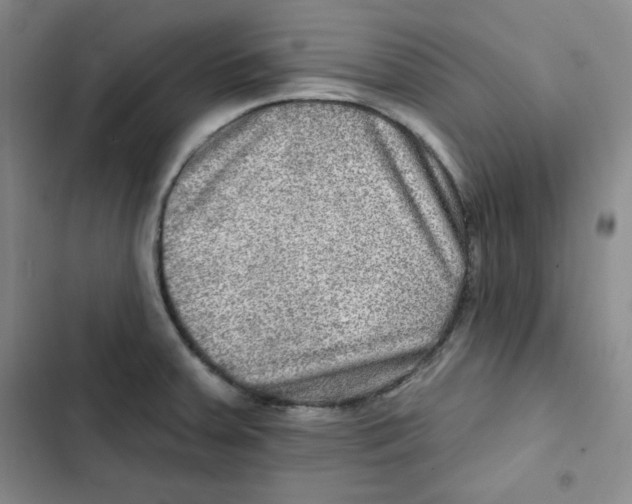 X0000102281379200808221254