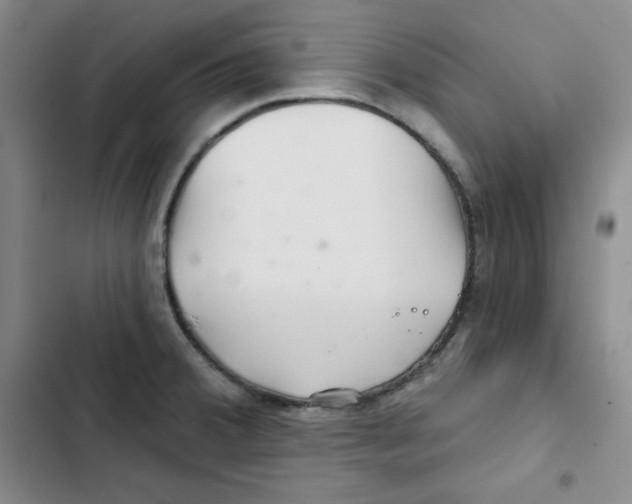 X0000102281380200808221254