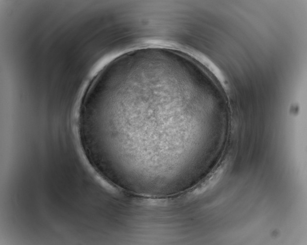 X0000102281381200808221254