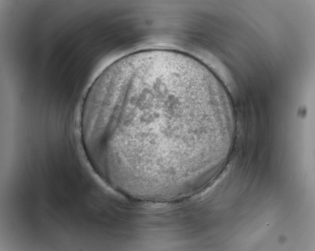 X0000102281382200808221254