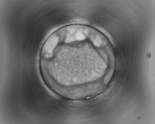 X0000102281383200808221254