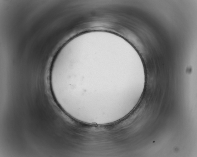 X0000102281384200808221254