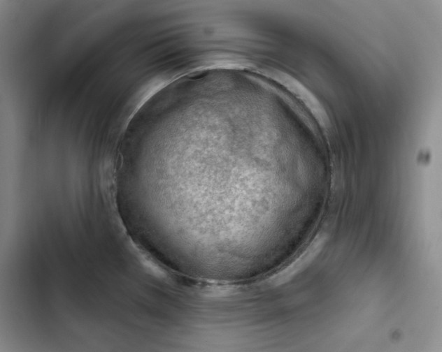 X0000102281385200808221254
