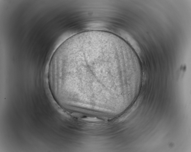 X0000102281386200808221254