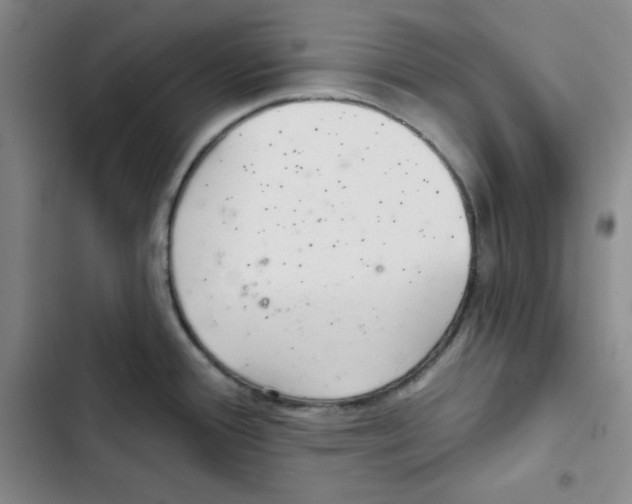 X0000102281388200808221254