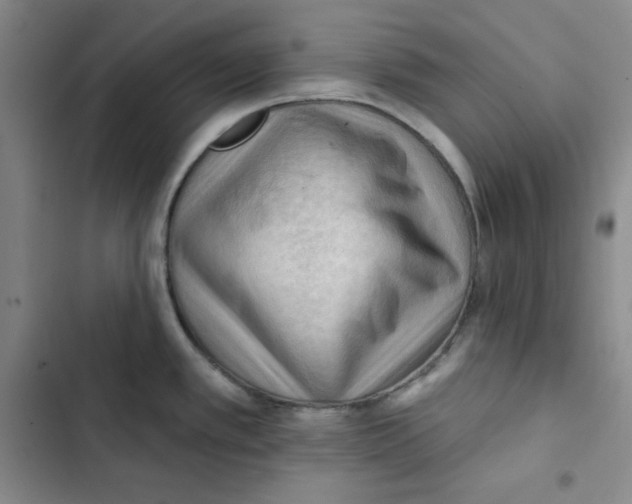 X0000102281389200808221254
