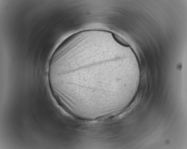 X0000102281390200808221254