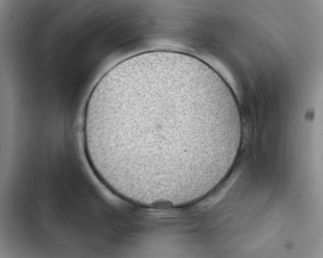 X0000102281391200808221254