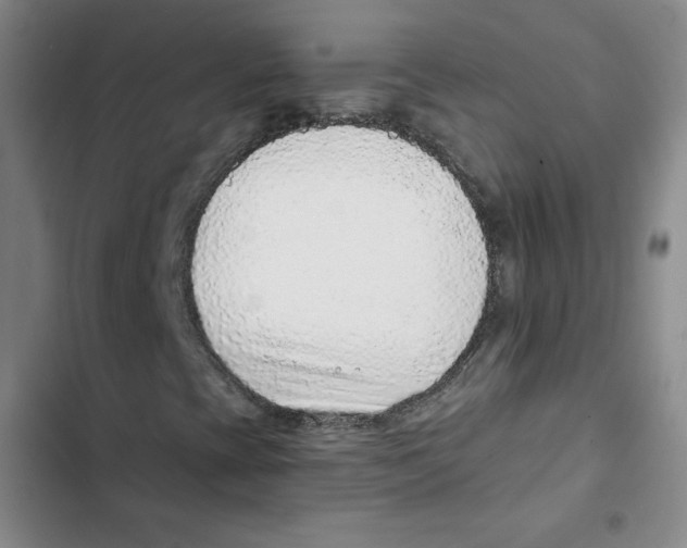 X0000102281393200808221253