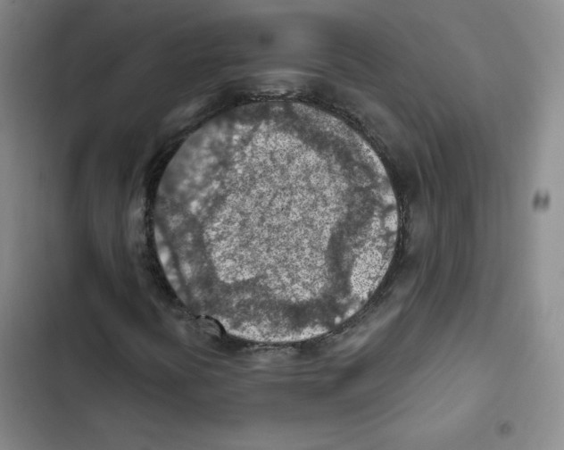 X0000102281394200808221253