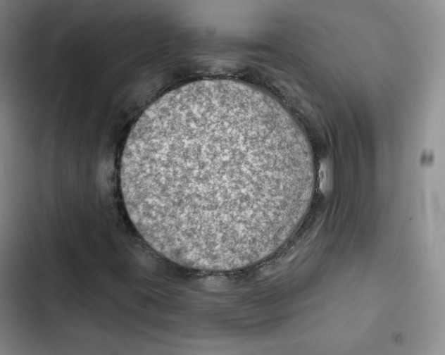 X0000102281395200808221253