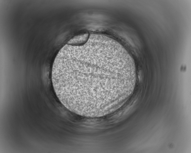 X0000102281396200808221253