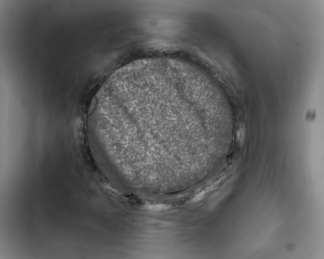 X0000102281397200808221253