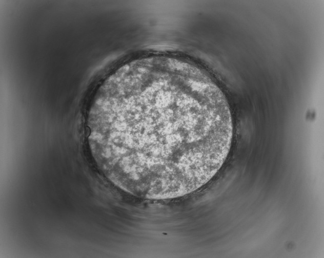 X0000102281398200808221253