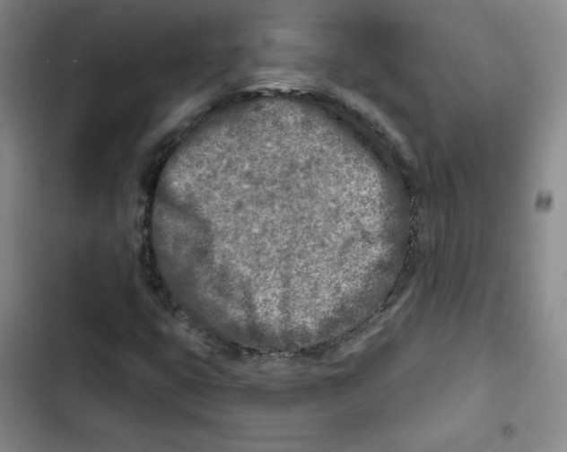 X0000102281399200808221253