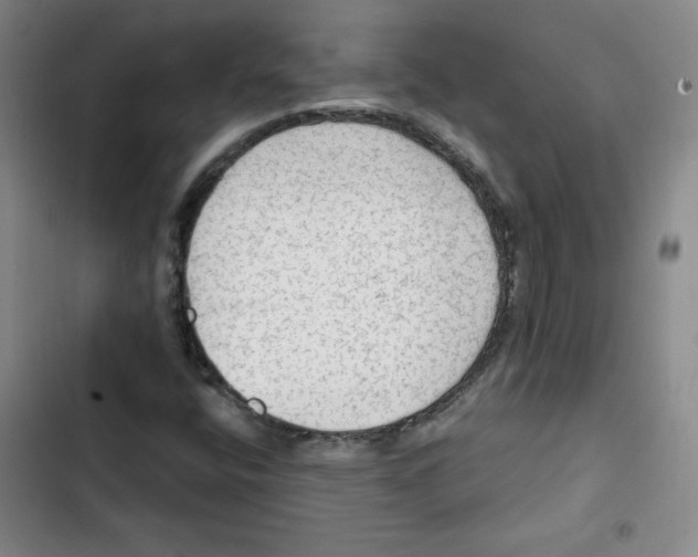 X0000102281400200808221253