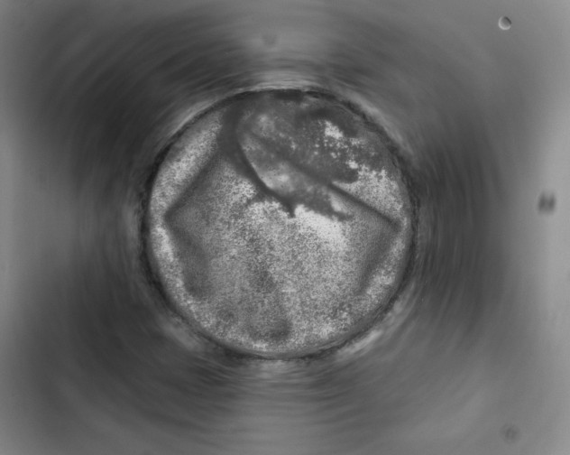 X0000102281401200808221253