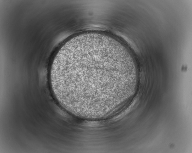 X0000102281402200808221253