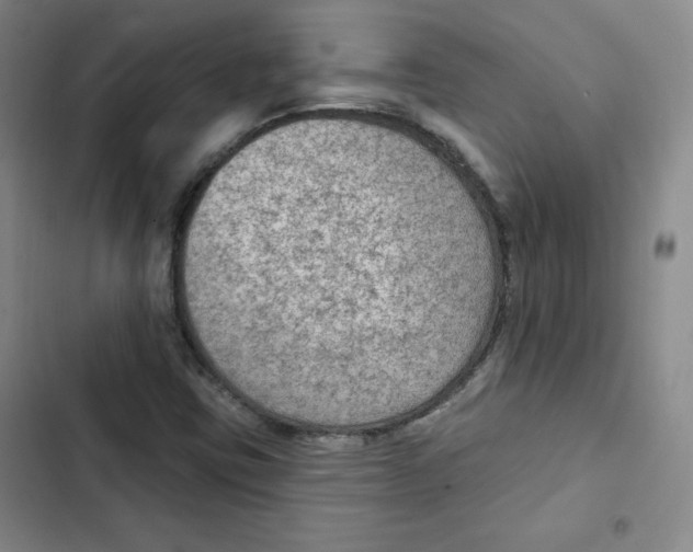 X0000102281403200808221253