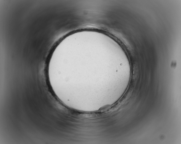 X0000102281404200808221253
