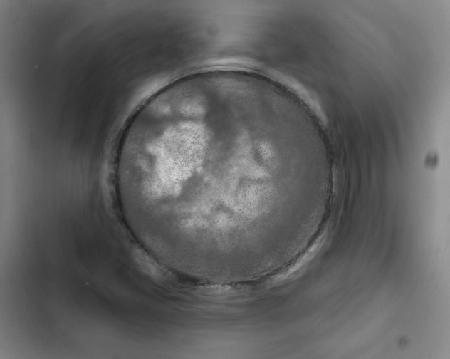 X0000102281405200808221253