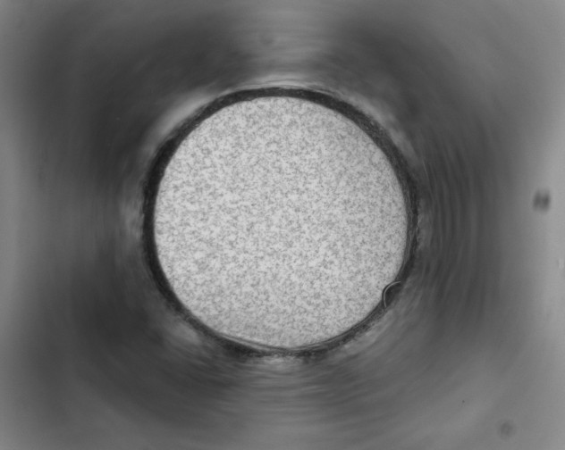 X0000102281406200808221253