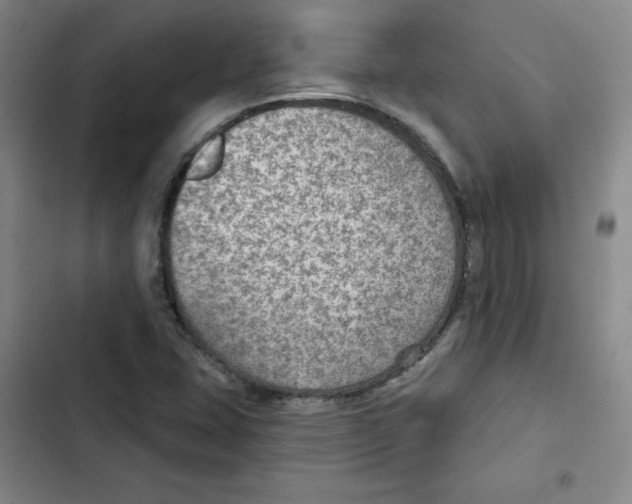 X0000102281407200808221253