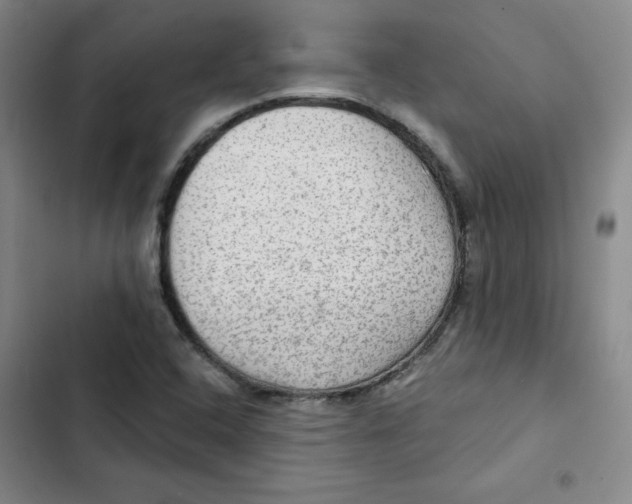 X0000102281408200808221253