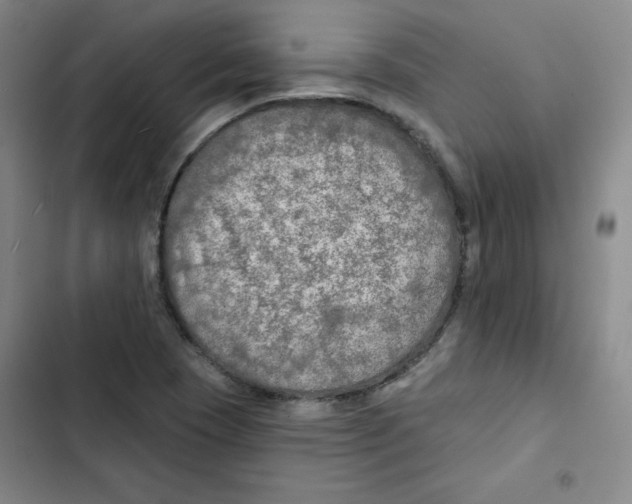 X0000102281409200808221253