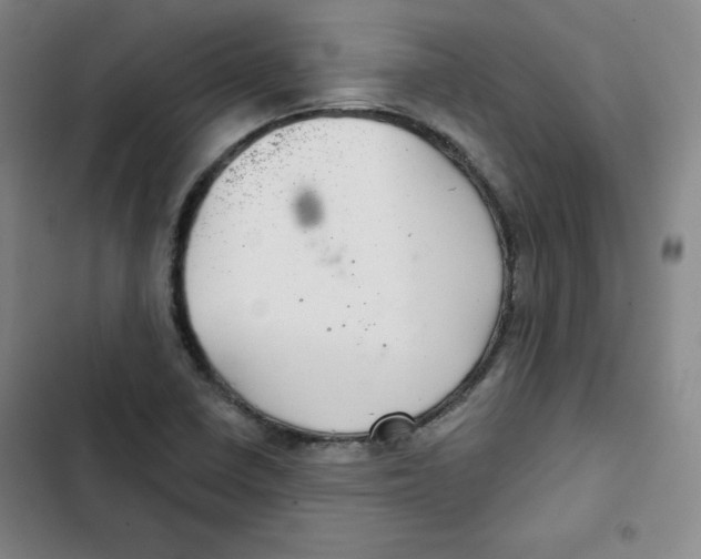 X0000102281410200808221253