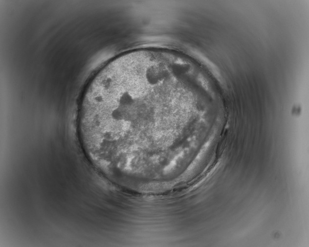 X0000102281411200808221253