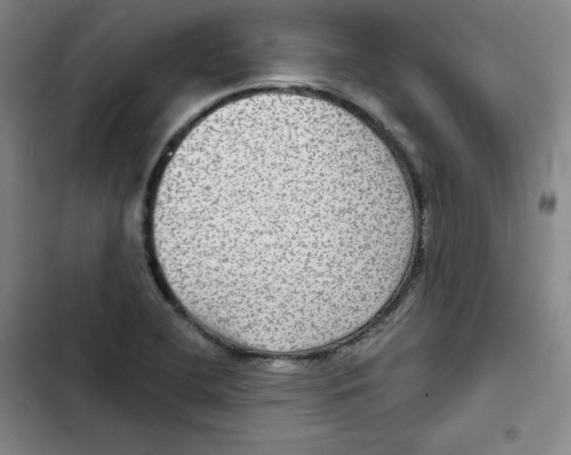 X0000102281412200808221253