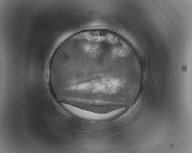 X0000102281413200808221253