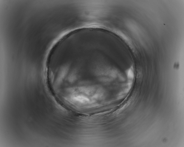 X0000102281414200808221253