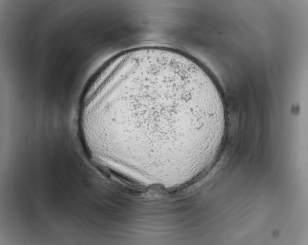 X0000102281415200808221253