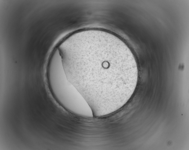 X0000102281416200808221253