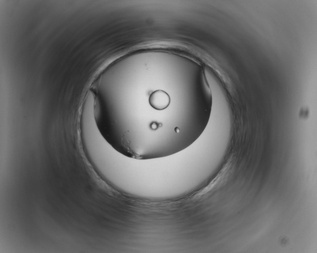 X0000102281417200808221253