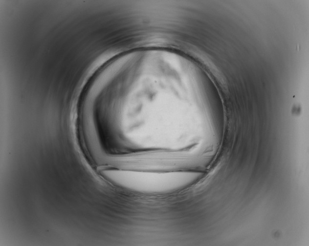 X0000102281418200808221253