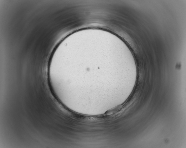 X0000102281420200808221253