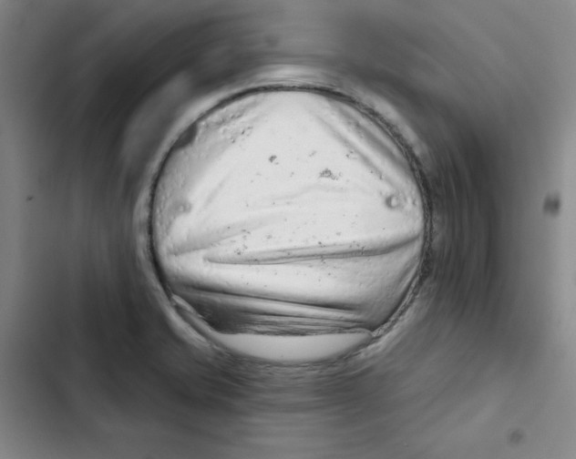 X0000102281421200808221253