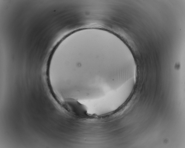 X0000102281422200808221253