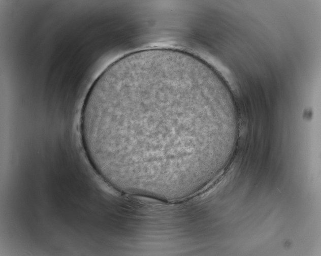 X0000102281423200808221253