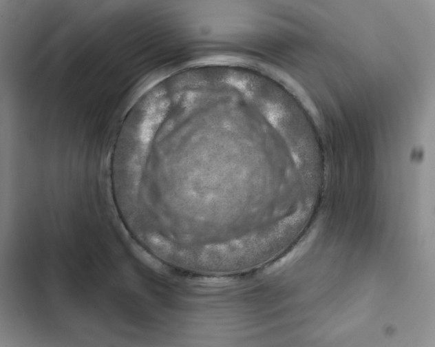 X0000102281425200808221253