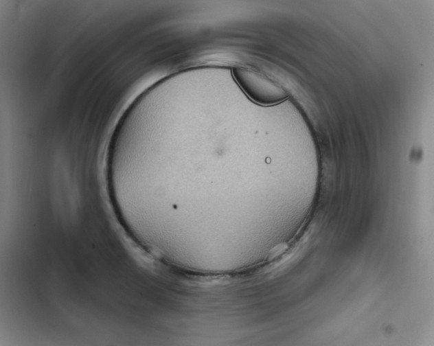X0000102281426200808221253