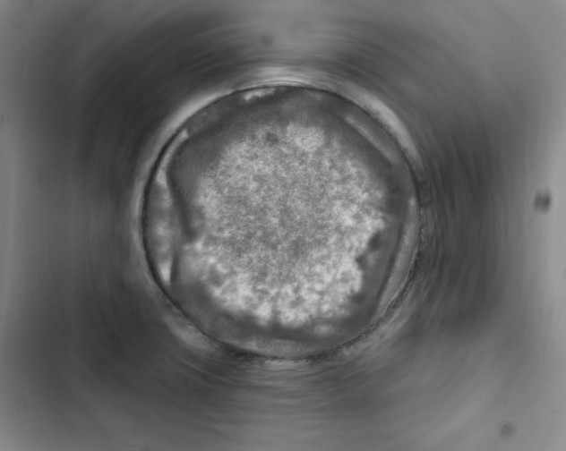X0000102281427200808221253