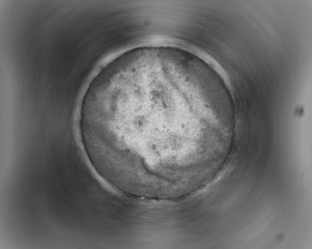 X0000102281429200808221253