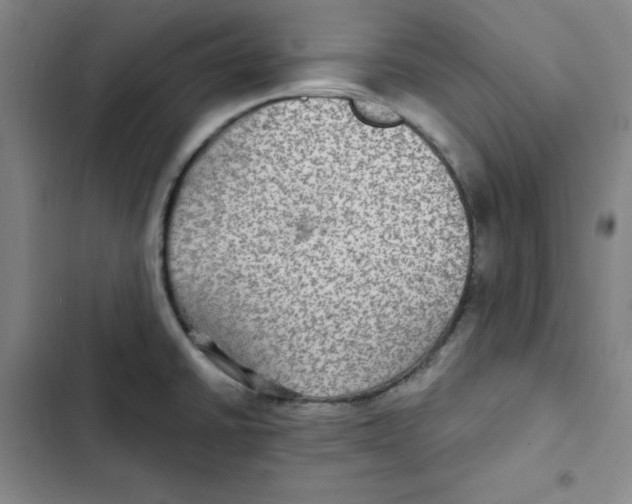 X0000102281430200808221253