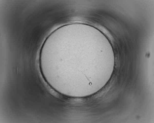 X0000102281431200808221253