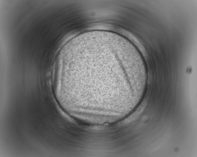 X0000102281433200808221253