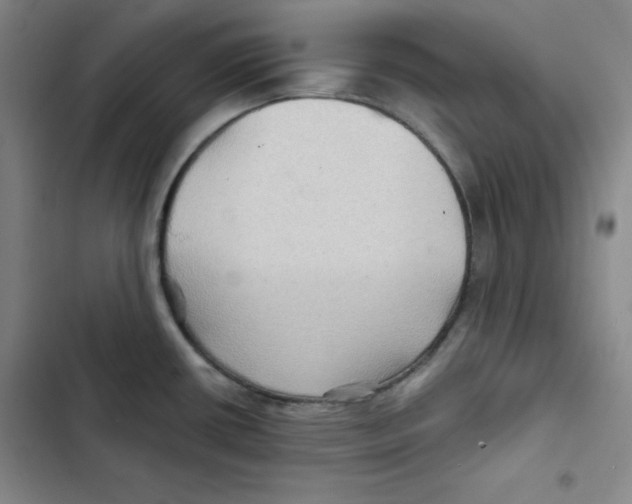 X0000102281434200808221253